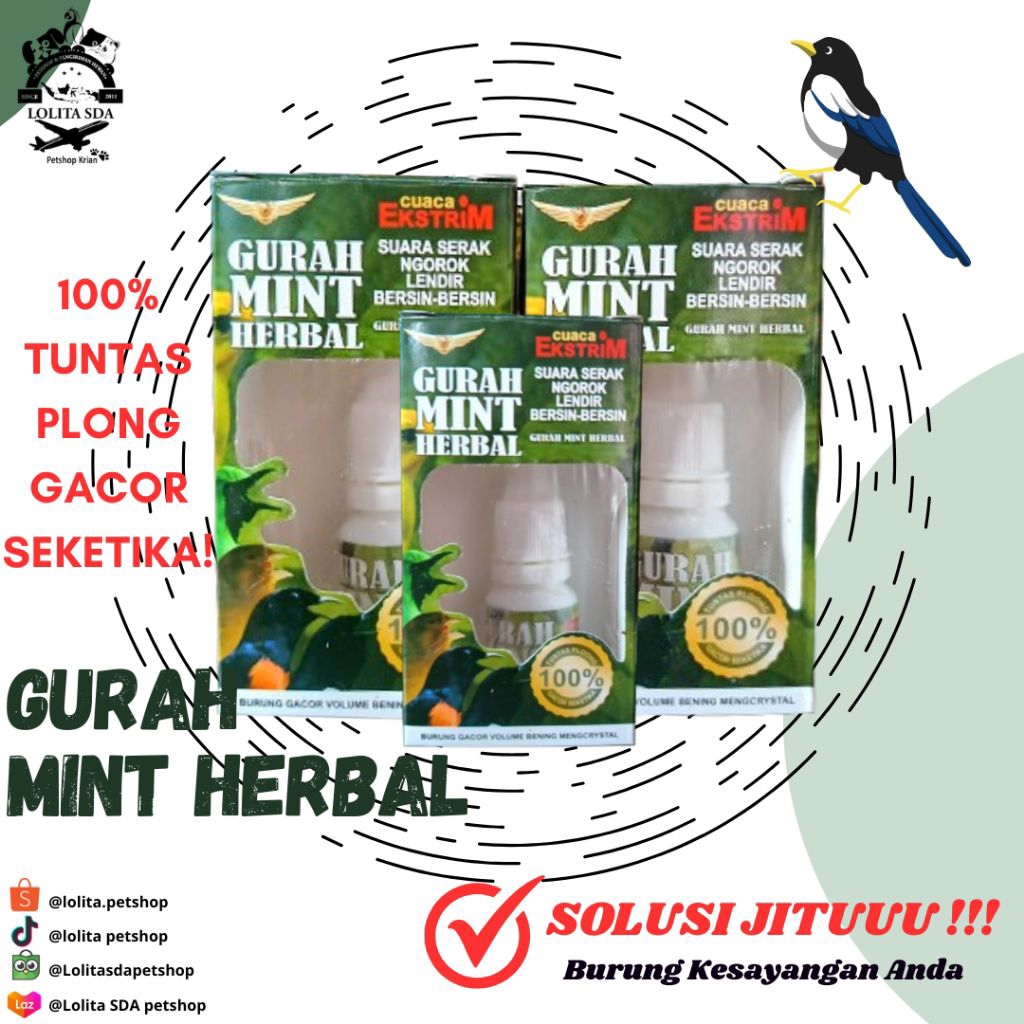 gurah mint herbal untuk burung