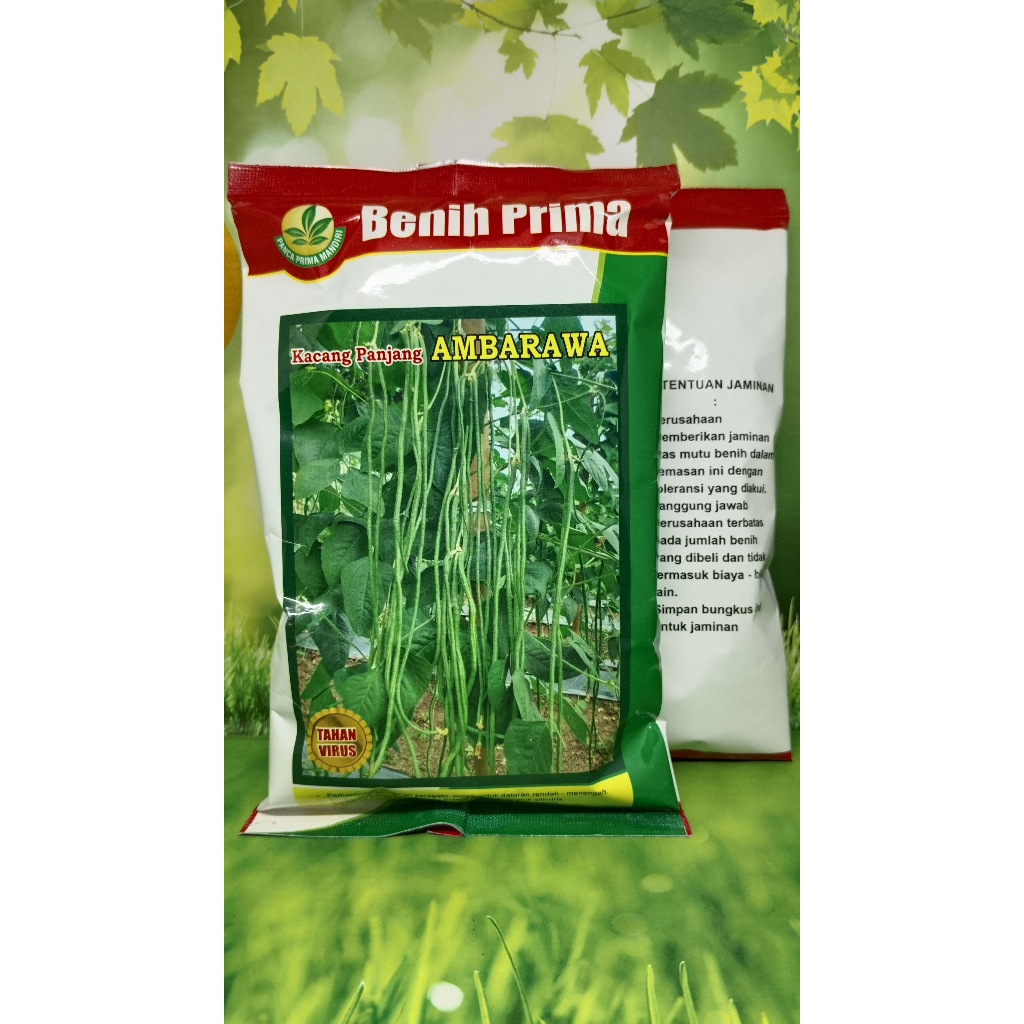 

Benih Prima Kacang Panjang Ambarawa 500 Gram Anti Virus