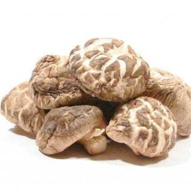 

Jamur Shitake Segar No Frozen