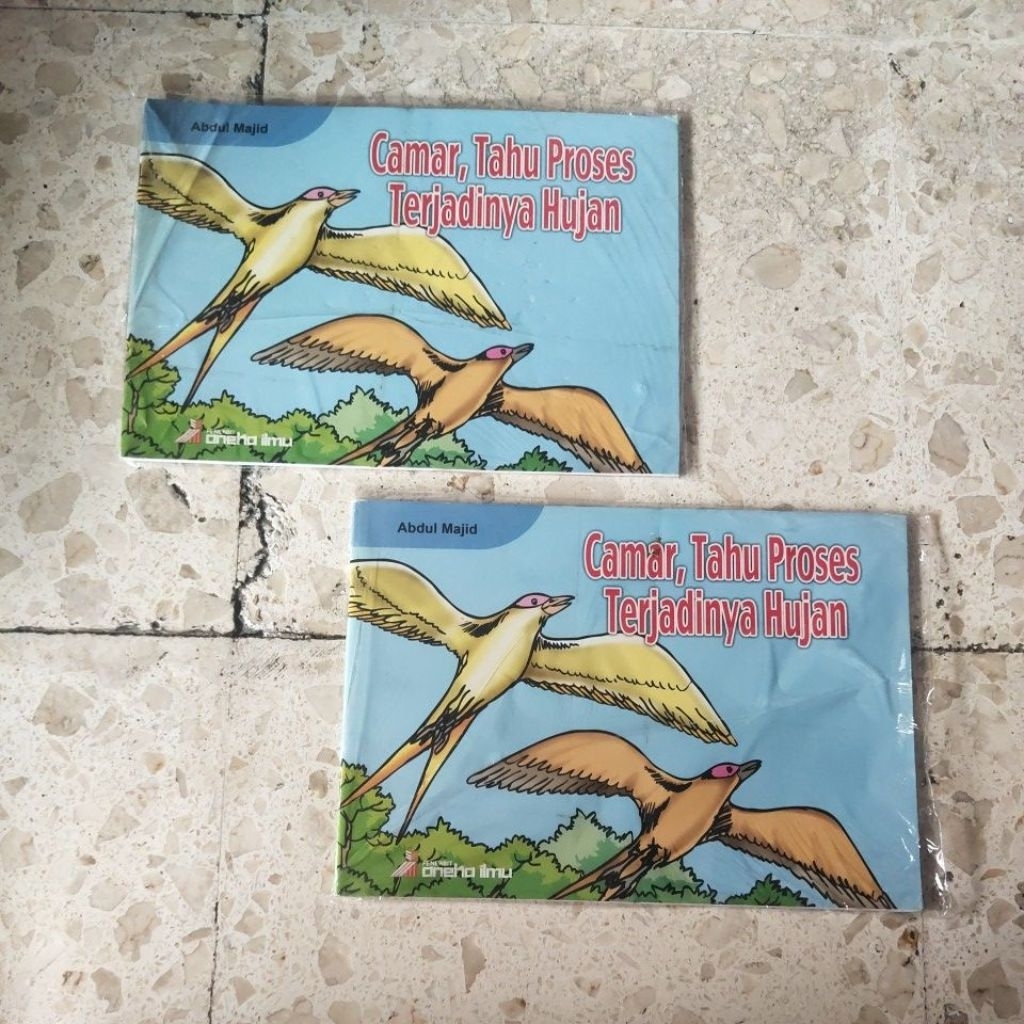 BUKU CERITA RAKYAT ANAK / CAMAR, TAHU PROSES TERJADINYA HUJAN / PRODUK ASLI ORIGINAL