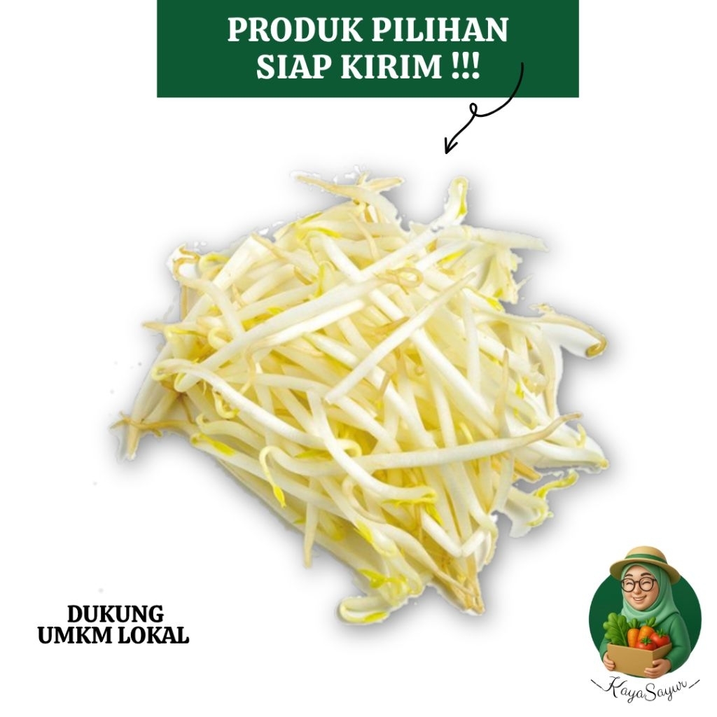 

Toge Fresh harga per 1/4 kg