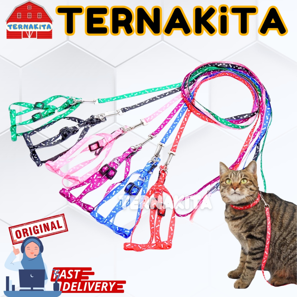 Tali Hewan Model Y Harnes Tali Tuntun Kucing Kelinci Musang Anjing Monyet Harness