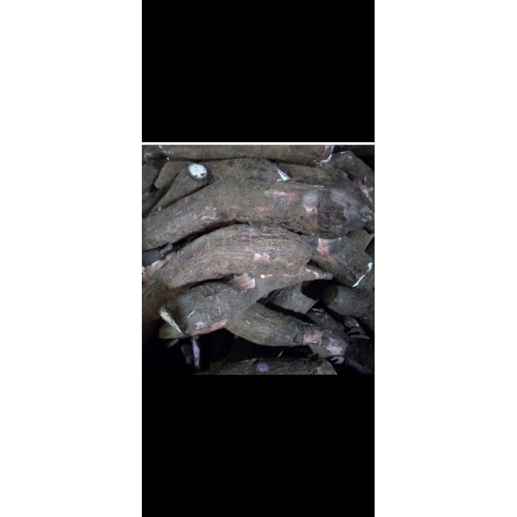 

singkong apuy mentah / singkong kulit merah / singkong putih 1kg