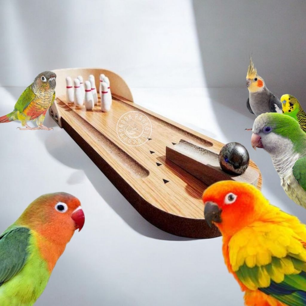 Alat Atraksi Burung Parrots