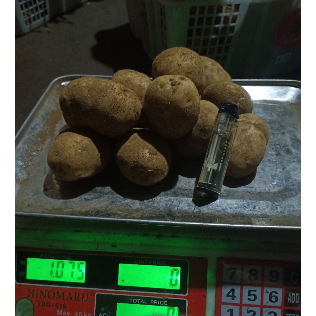 

kentang dieng 1kg