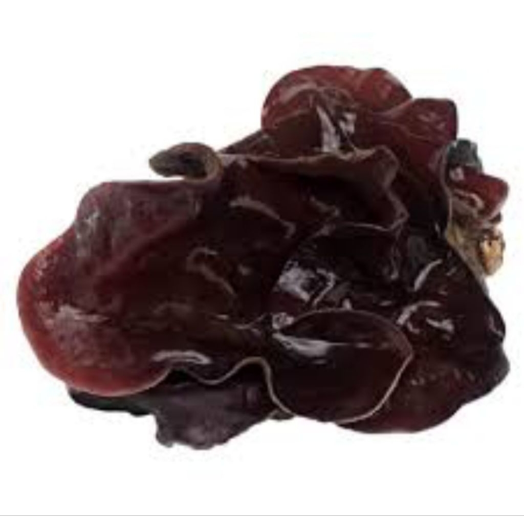 

Jamur Kuping Basah Fresh Segar