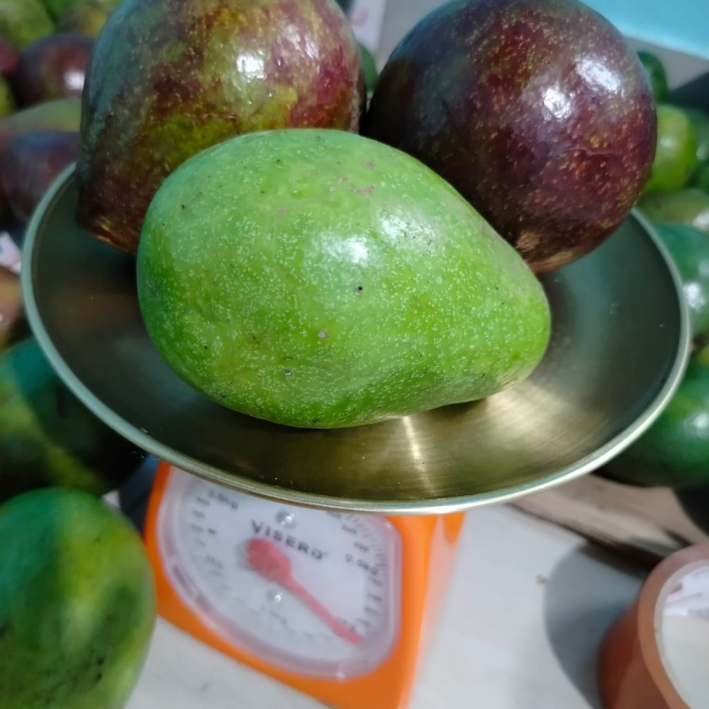 

PROMO!!! alpukat mentega super 1 kg