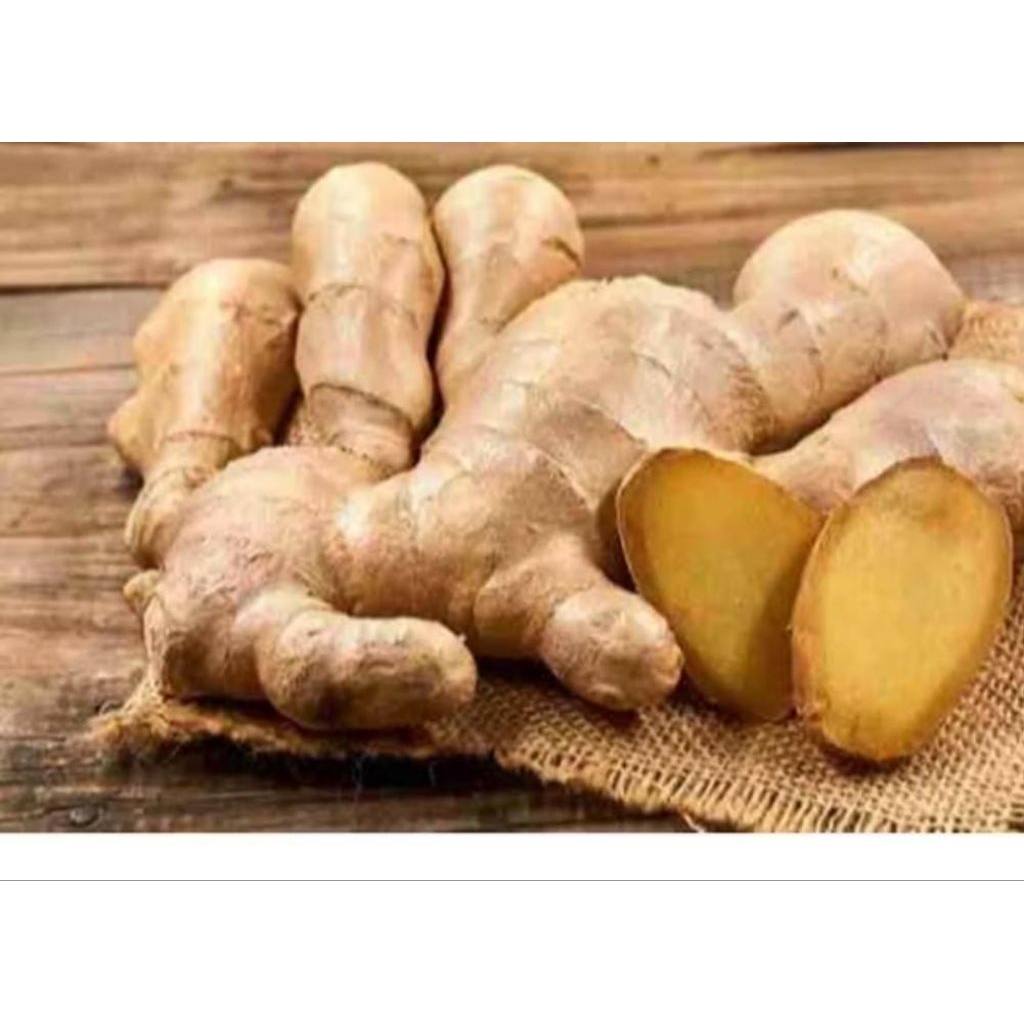 

jahe,Jahe Gajah 1 kilo