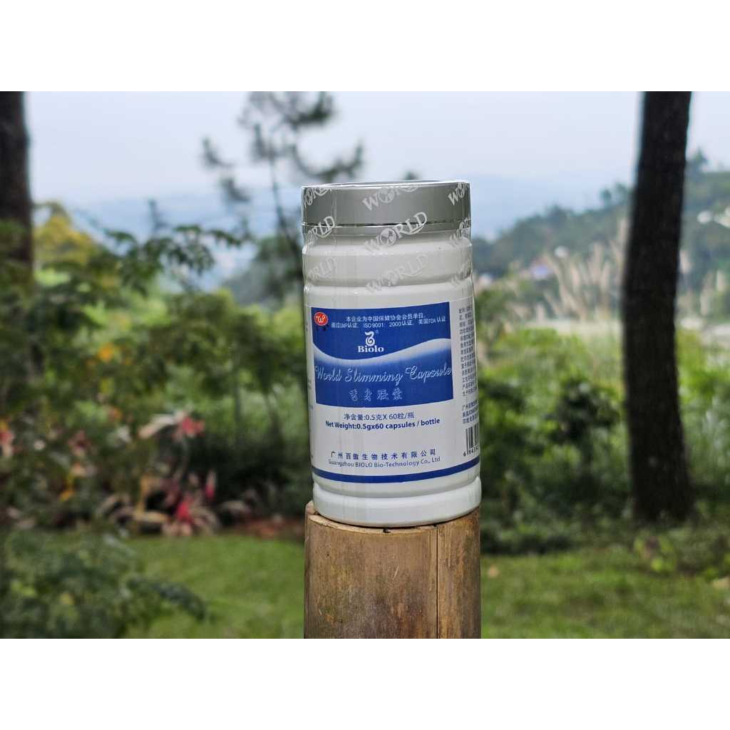 ORIGINAL PELANGSING WSC BIOLO IMPORT 100 %