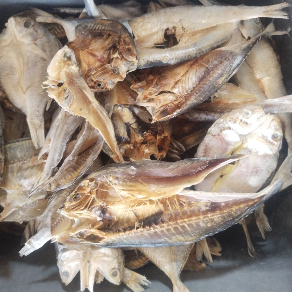 

Ikan Asin Murah Belahan Campur 1 kg