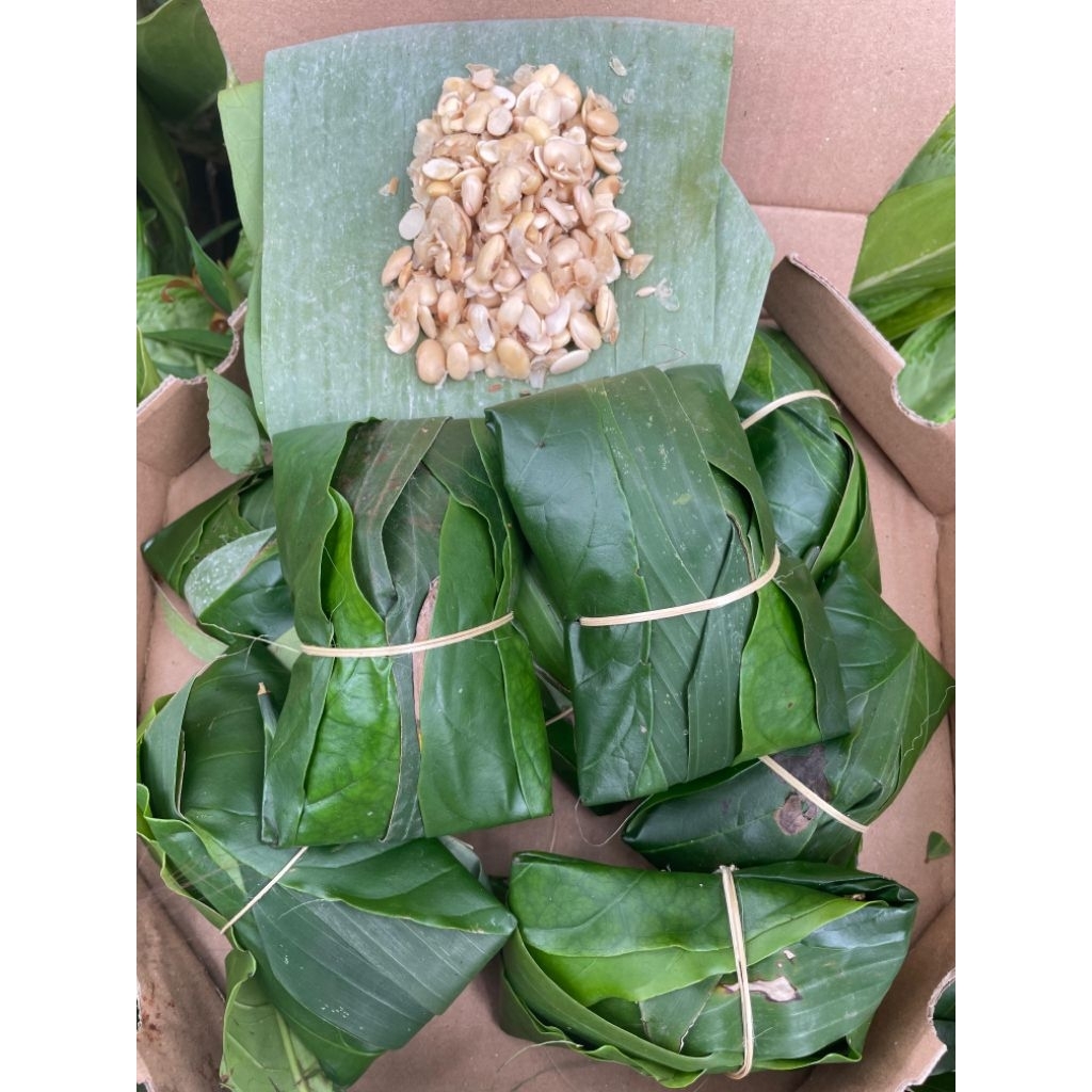 

15pcs TEMPE DAUN (BISA COD)