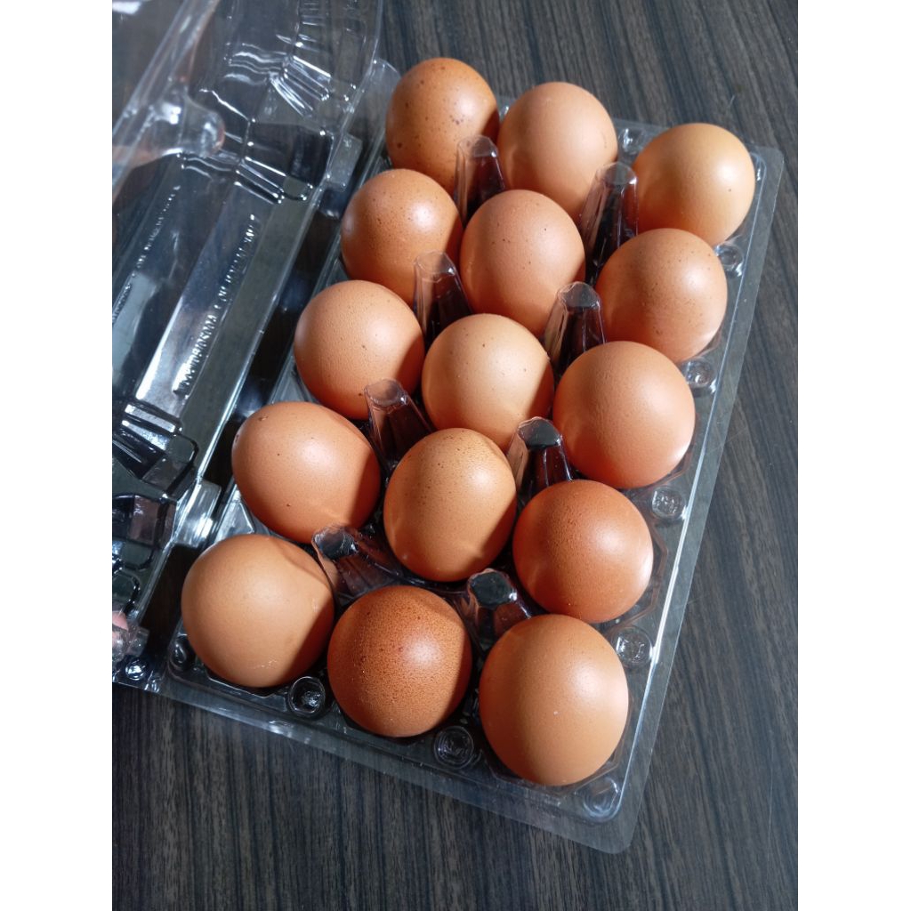

Telur Omega3 Fress - 15 butir