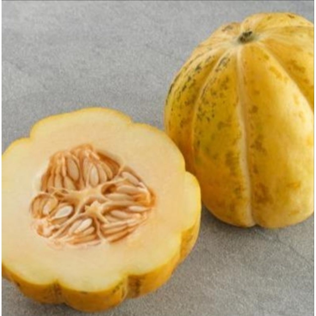 15 Biji - Benih Blewah BALADEWA atau Garbis