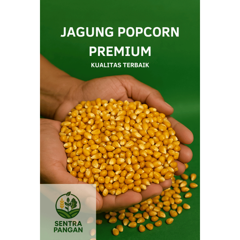 

SENTRA PANGAN Jagung Popcorn Mentah Premium 250gr 500gr 1000gr