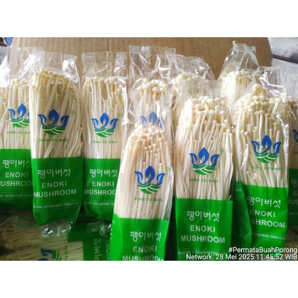 

Jamur Enoki fresh