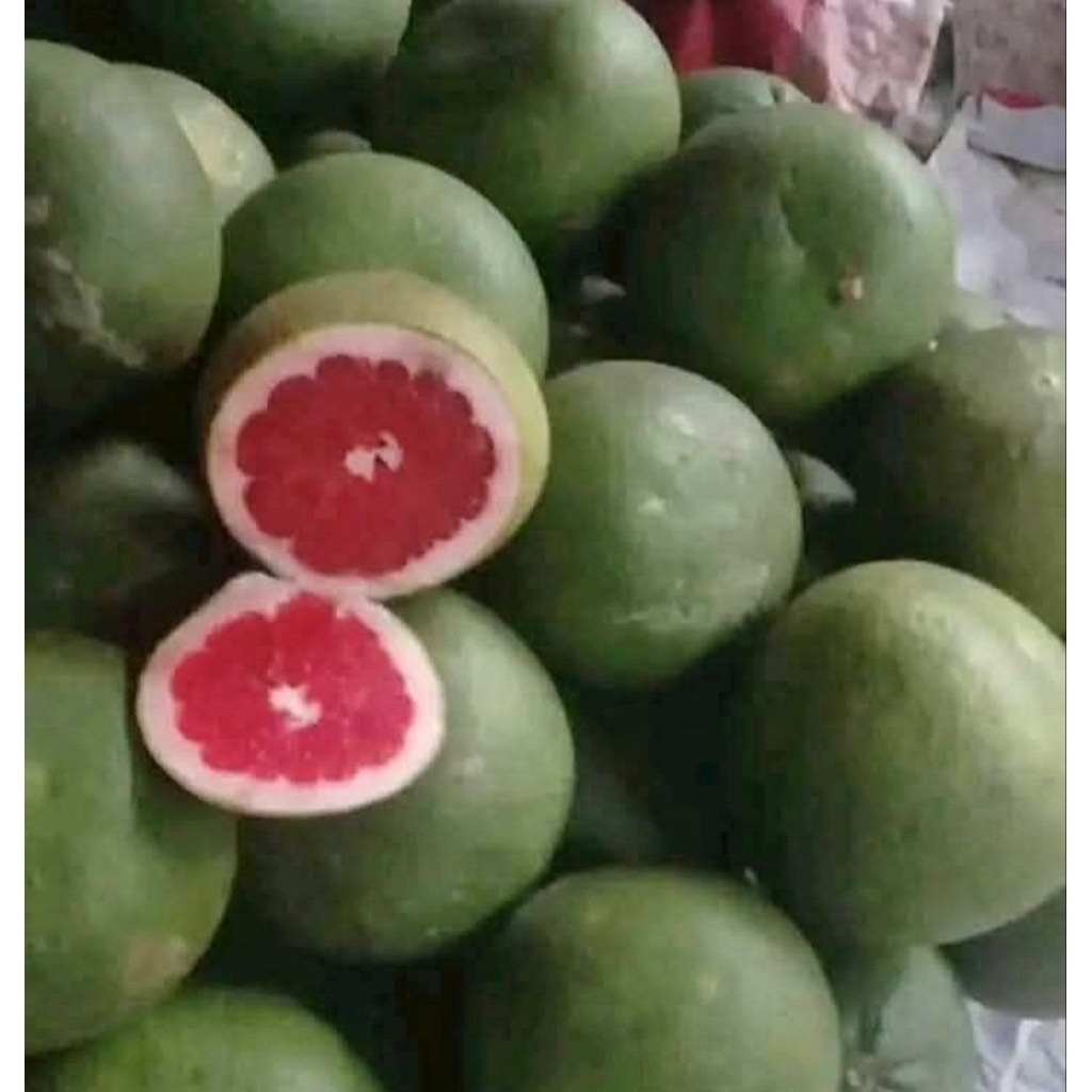 

jeruk pamelo madu 800-1kg merah manis tanpa biji
