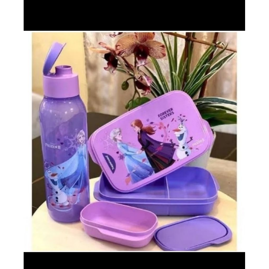 frozen lunch set tupperware