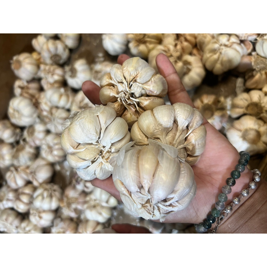 

BAWANG PUTIH 100G