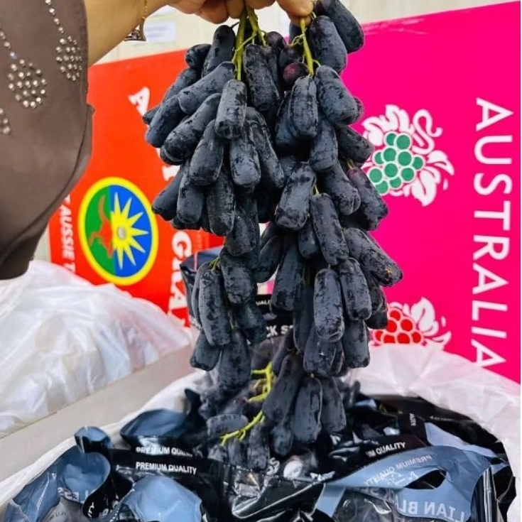 

ANGGUR JARI AUSTRALIA 500gr