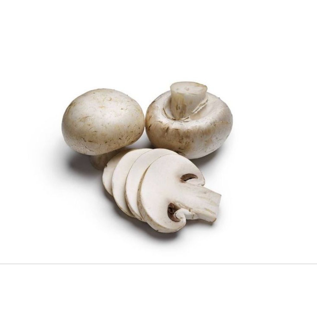 

Jamur Kancing 500 Gram