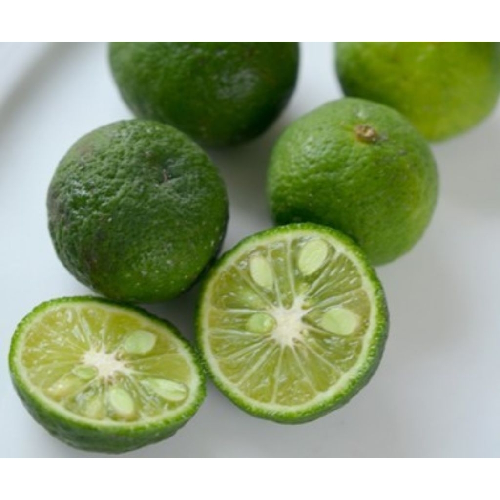 

Jeruk Limau/Jeruk Sambal 1kg