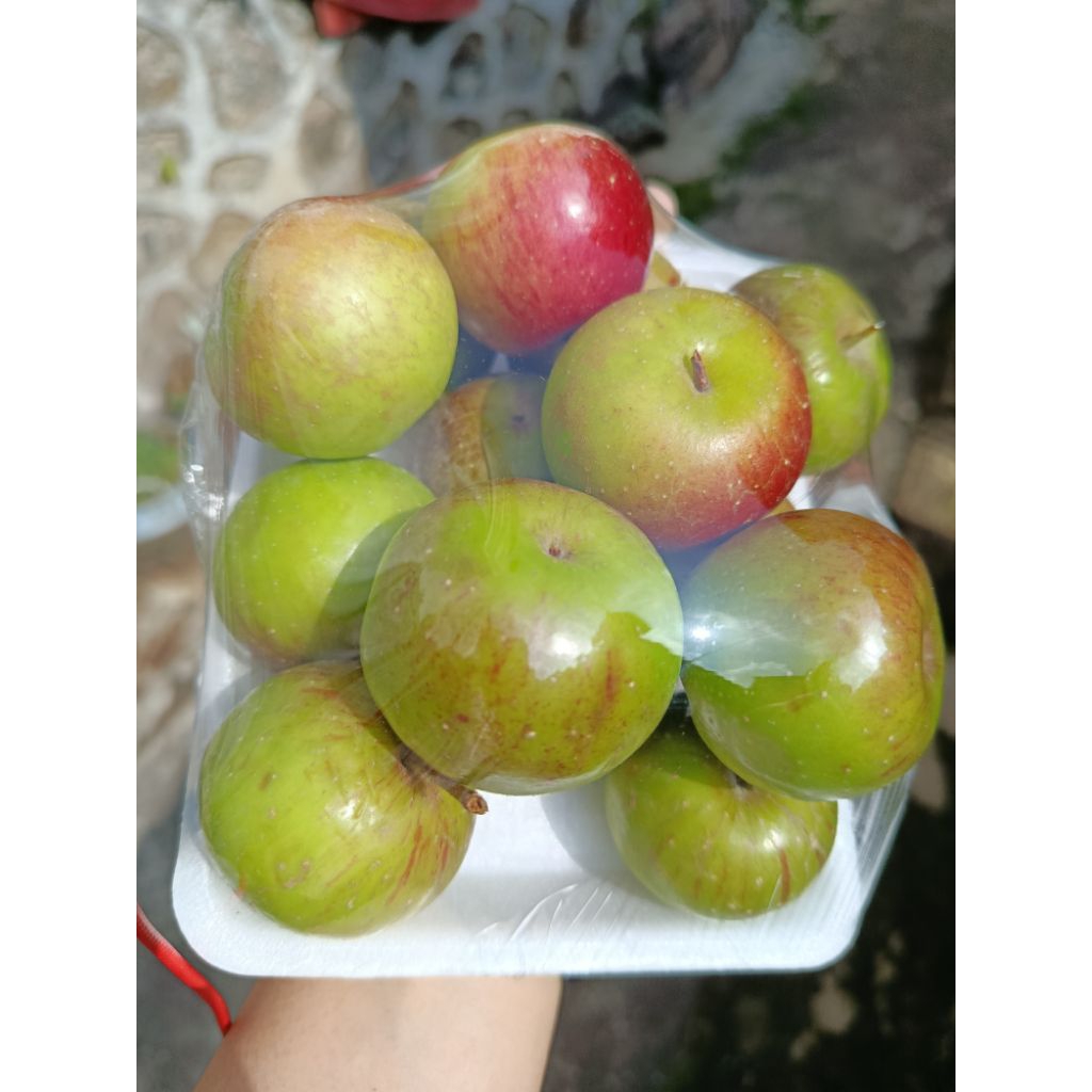 

Apel Romebeauty Mini 1/2kg