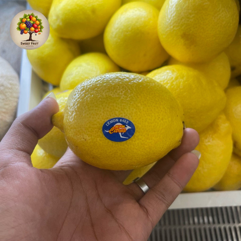 

Lemon import | Lemon Australia Import Fresh 0.5kg