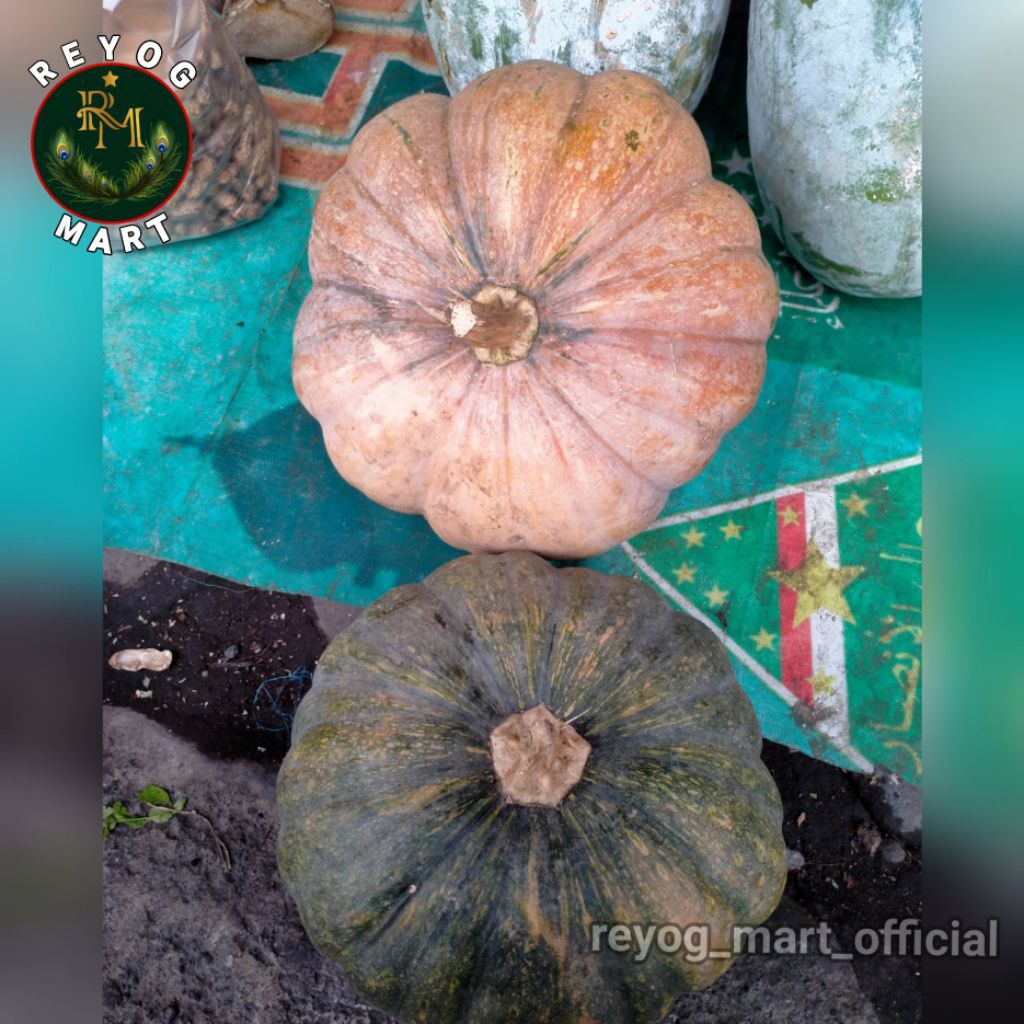 

WALUH CERME LABU MANIS PUMPKIN FRESH