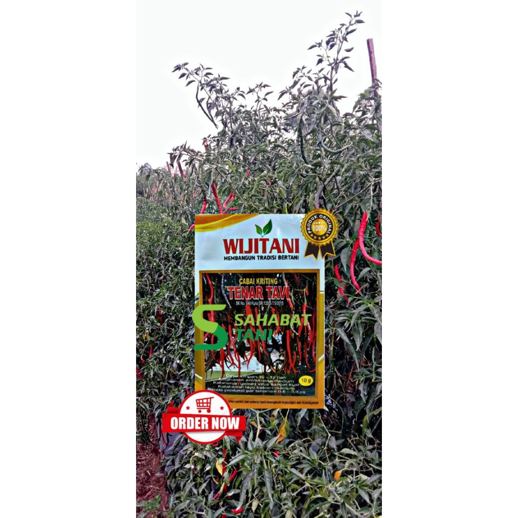 Benih cmk tanar tavi