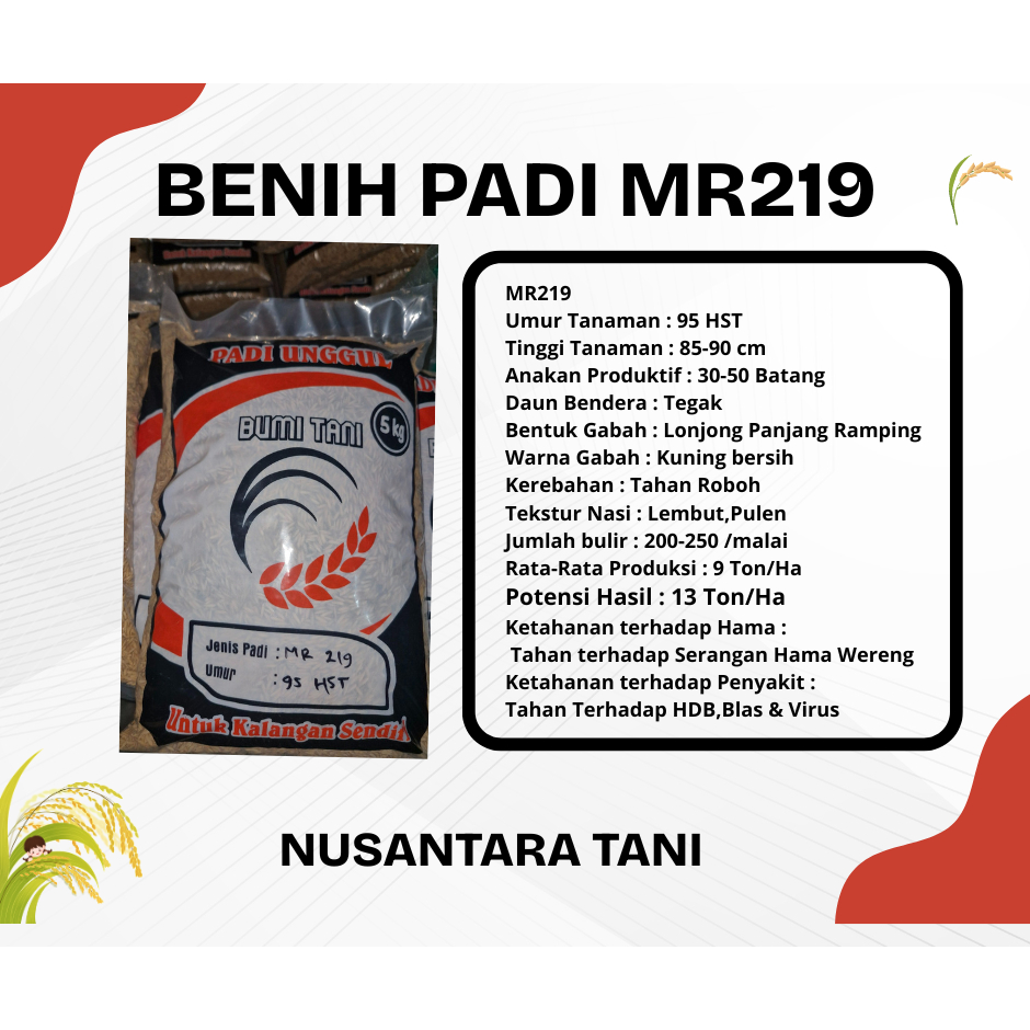 BENIH PADI MR219 ORIGINAL 5KG