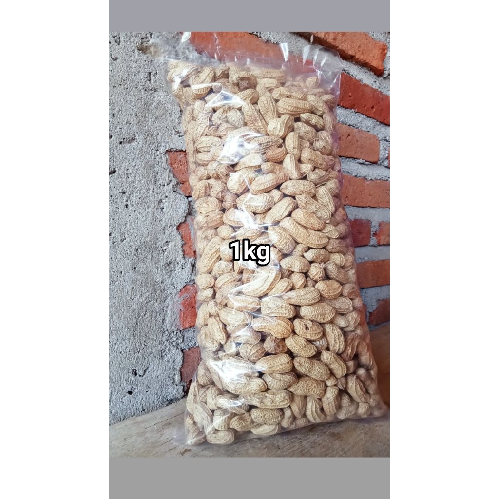 

Kacang Kulit Oven/Kacang Kulit Open/Kacang Sangrai/Kacang Kulit Goreng, Rasa Original