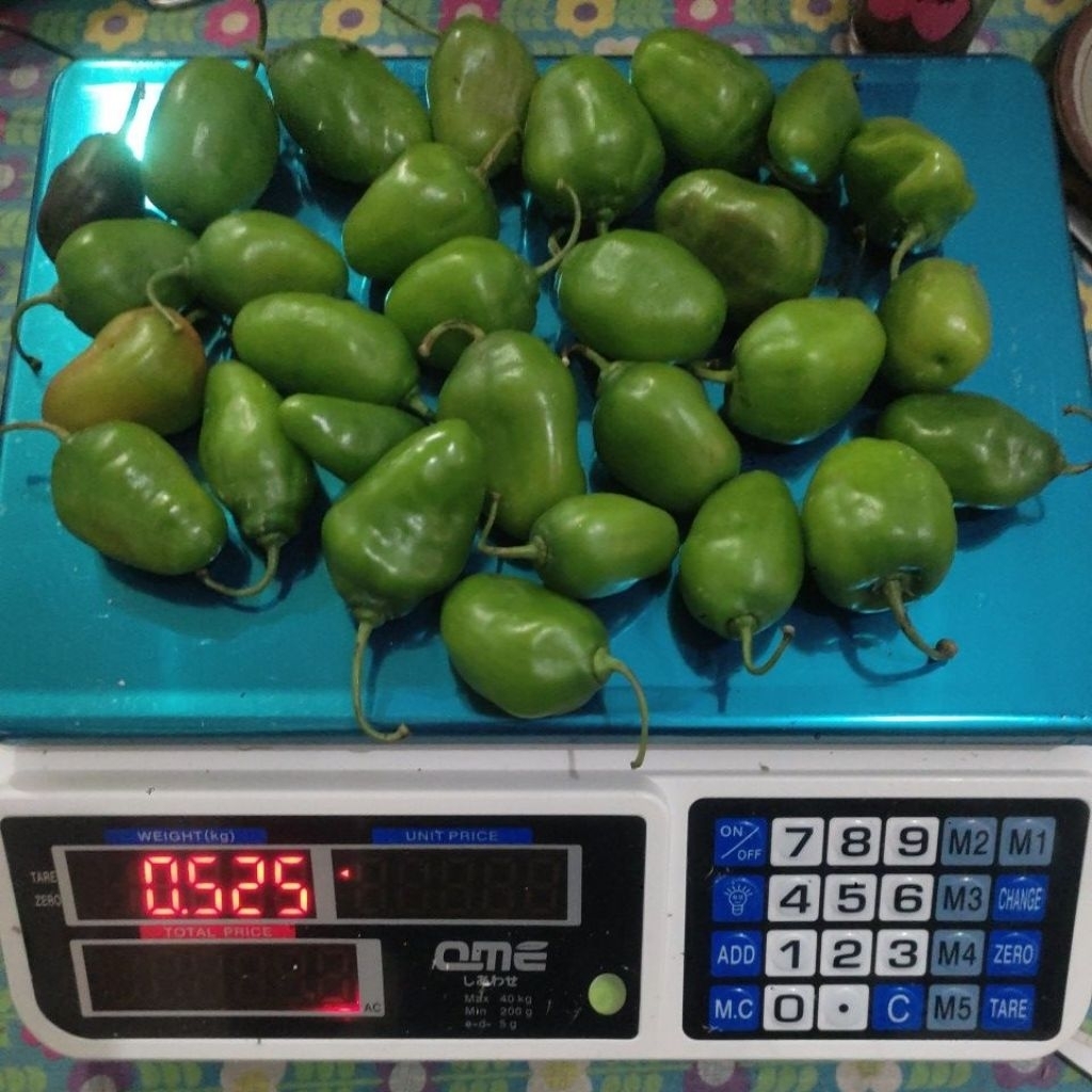 

CABE GENDOT FRESH READY STOCK 500gr/1000gr