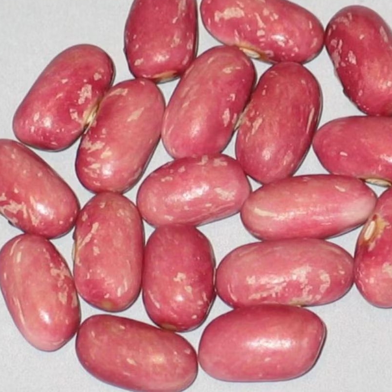 

Kacang Joglo 250 Gram