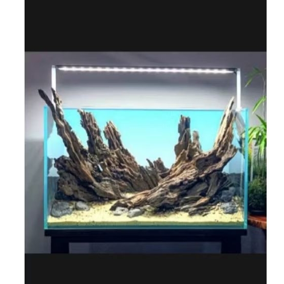 Kayu aquascape /kayu untuk rangkaian aquascape
