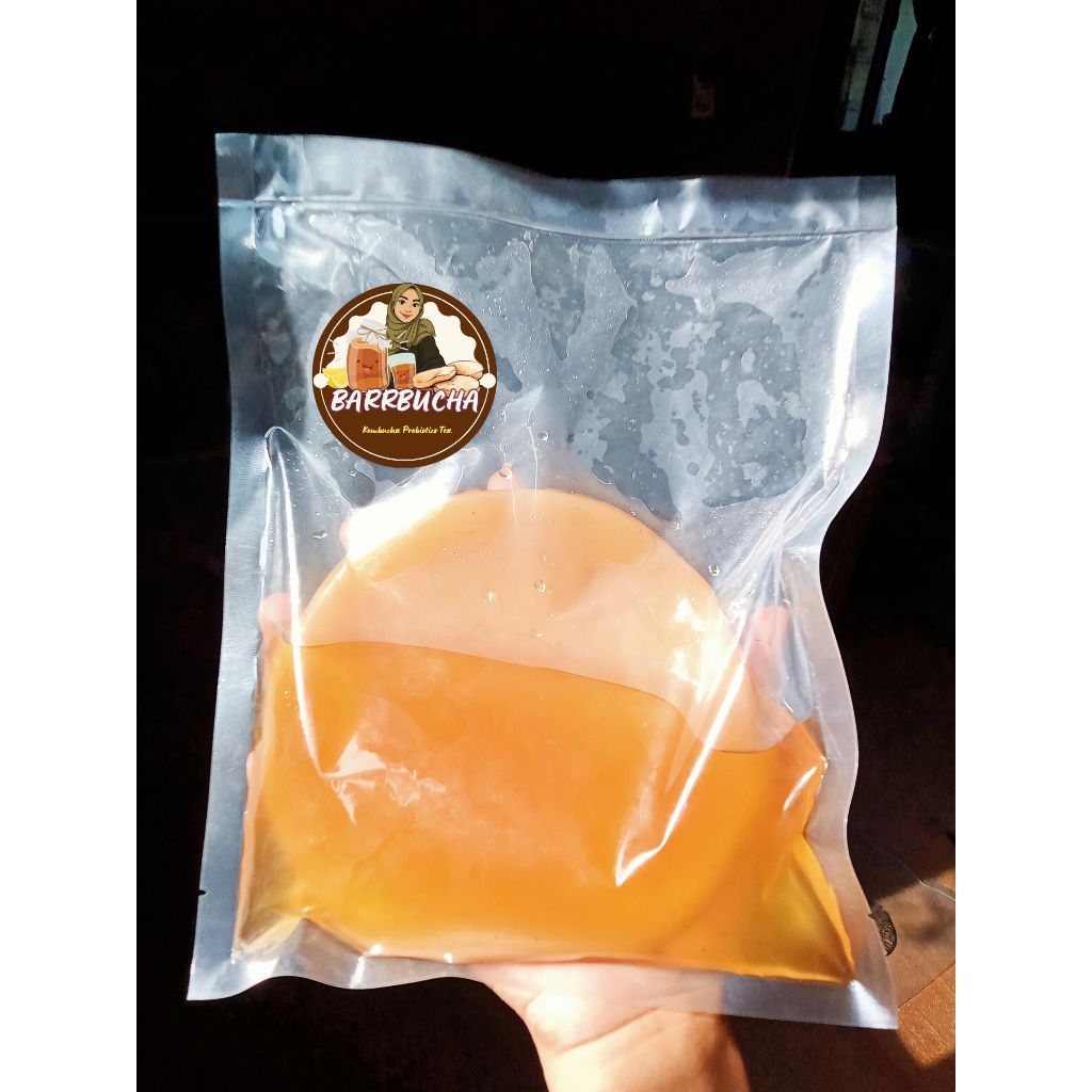 

Scoby Kombucha PREMIUM -+15cm + air starter 250ml