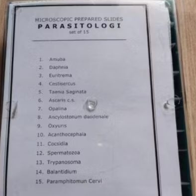 preparat parasitologi 15 macam isi sesuai gambar
