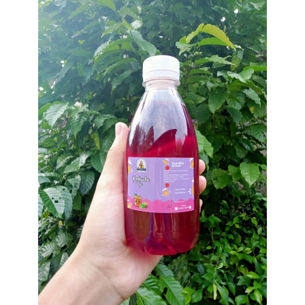 

Kombucha Butterfly Pea Lemonade 350Ml by BARRBUCHA