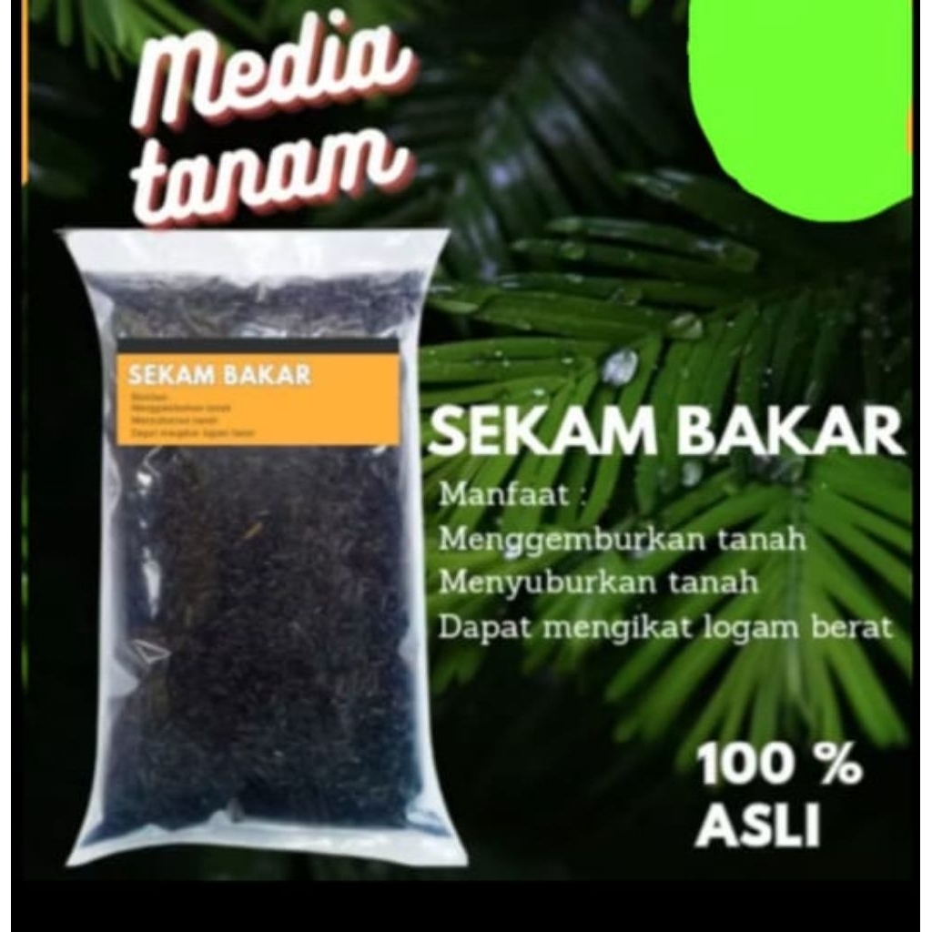 sekam bakar murni 1kg