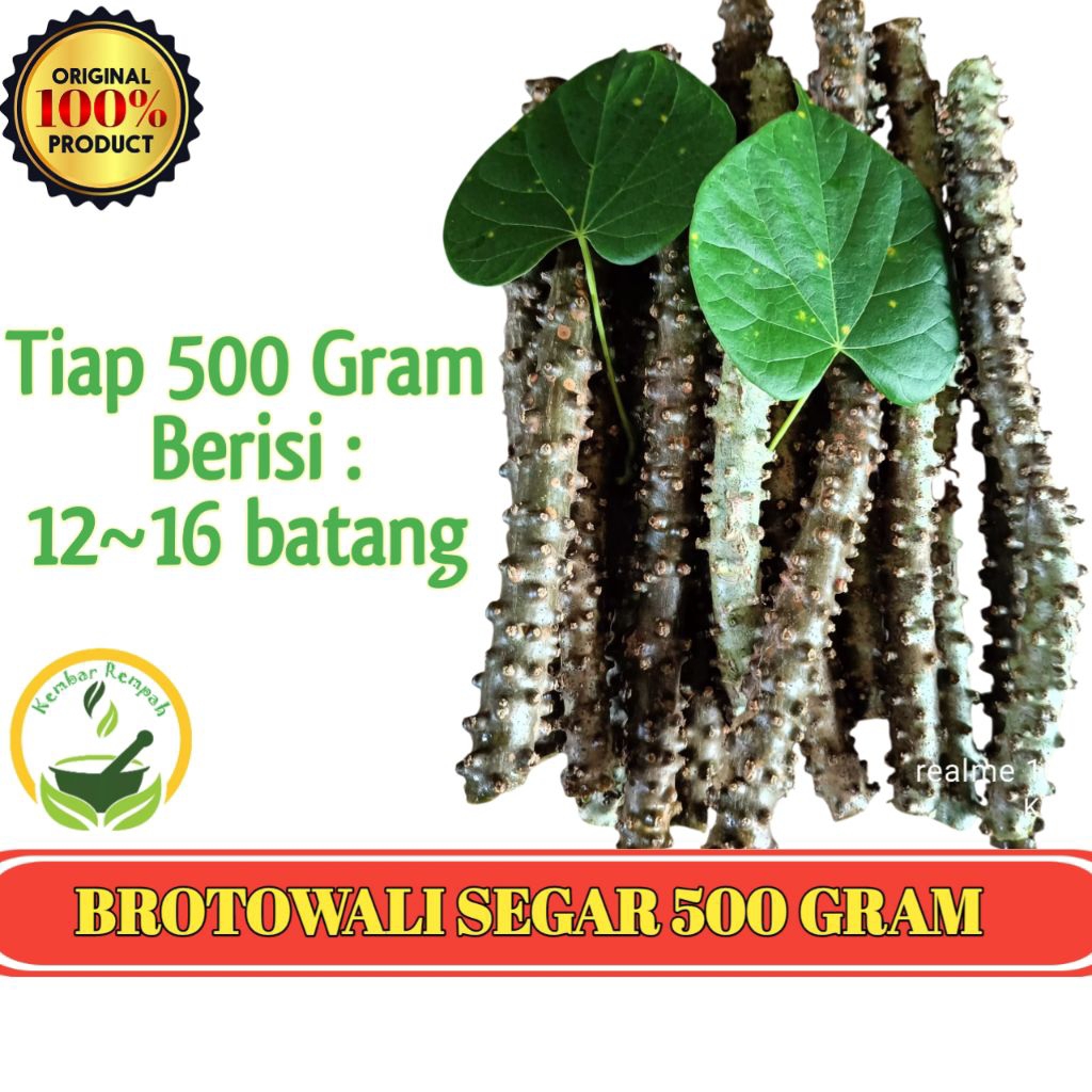 

Bahan Herbal Brotowali Segar 500 Gram
