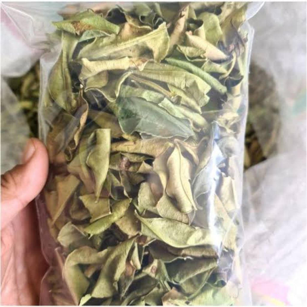 

daun jeruk purut kering - tanaman herbal - obat tradisional