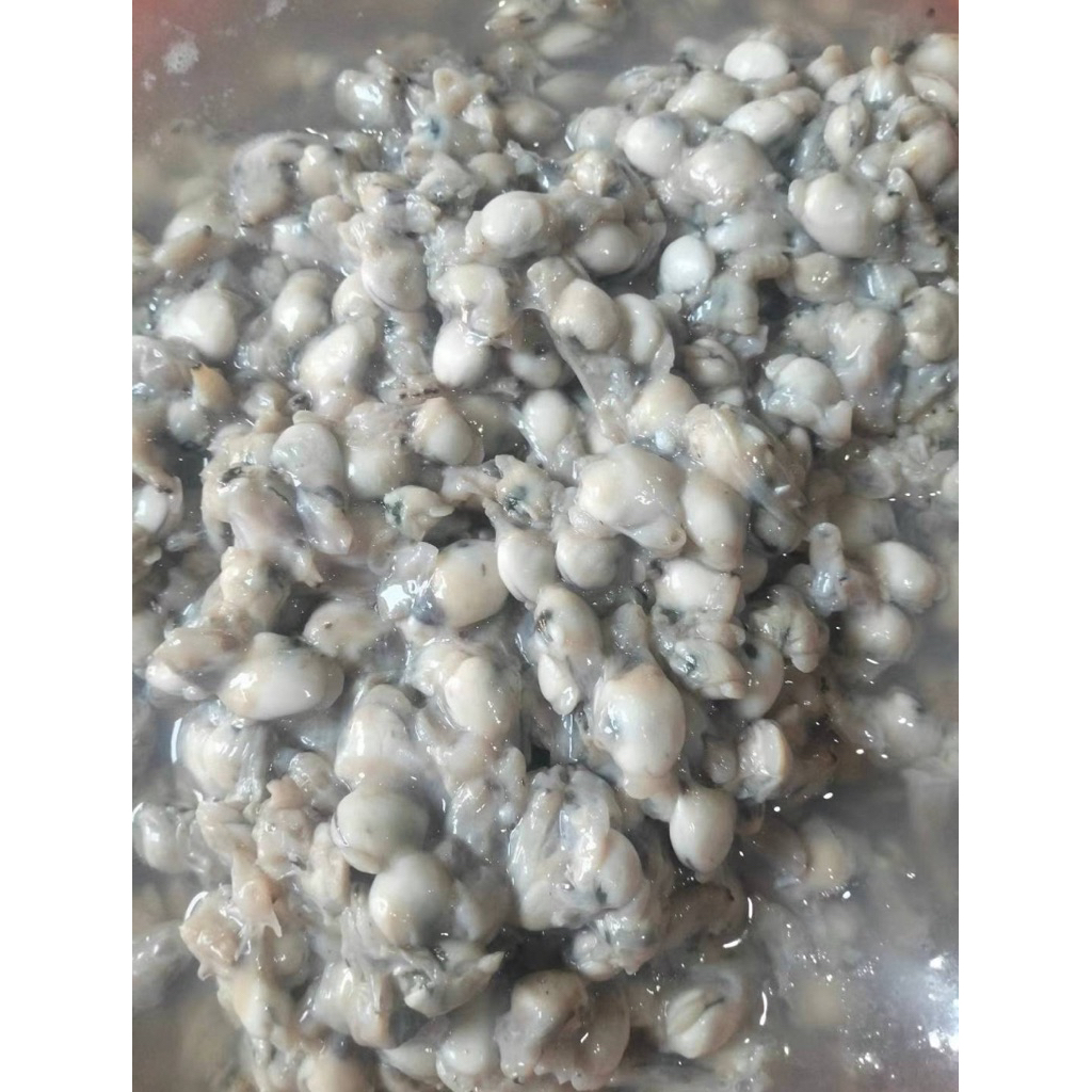 

Daging kerang kong tai panipahan