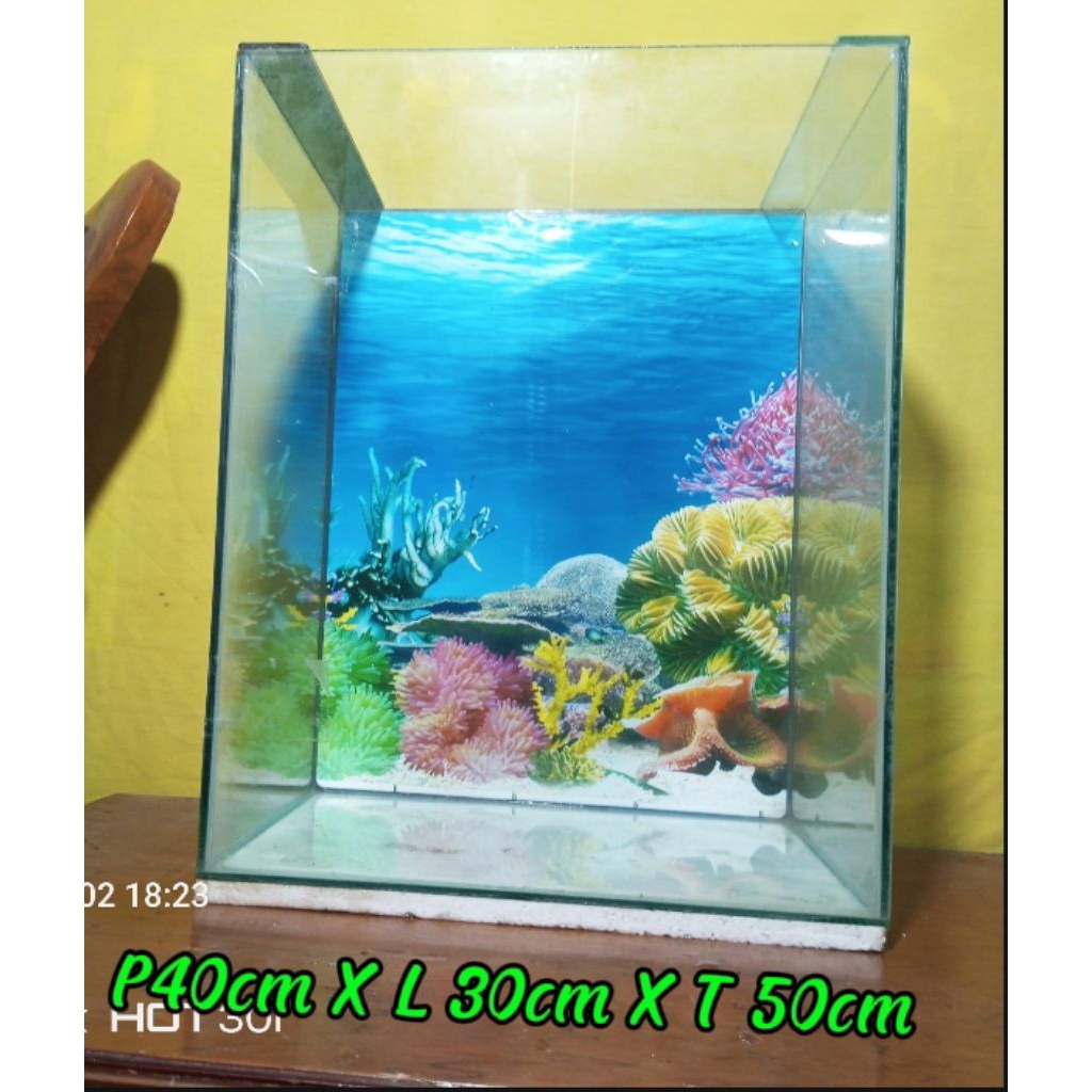 Aquarium 40x30x50