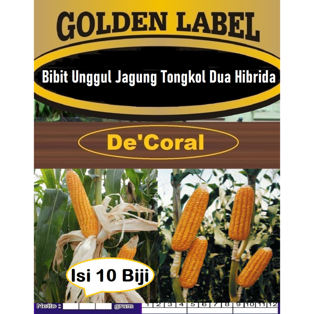 Bibit Unggul Jagung Tongkol Dua Hibrida | Biji Benih Jagung Tongkol Dua Hibrida