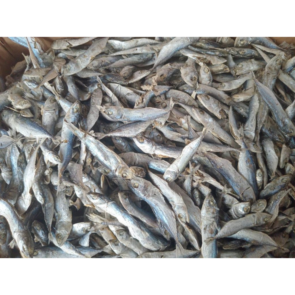

Ikan Rebus TUAN DEMAN / ANAK GAMBOLO ASIN Sibolga