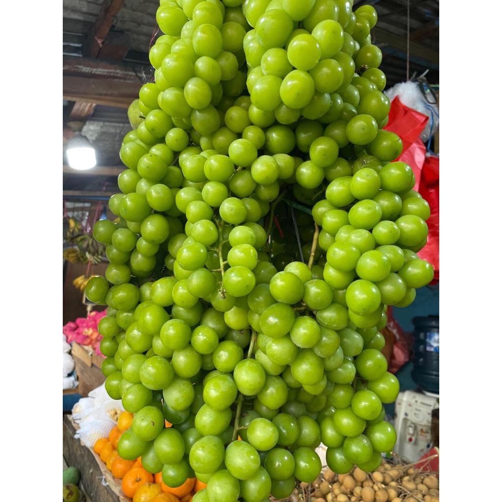 

Anggur Hijau Smoothiemama Segar Sehat 1KG Import
