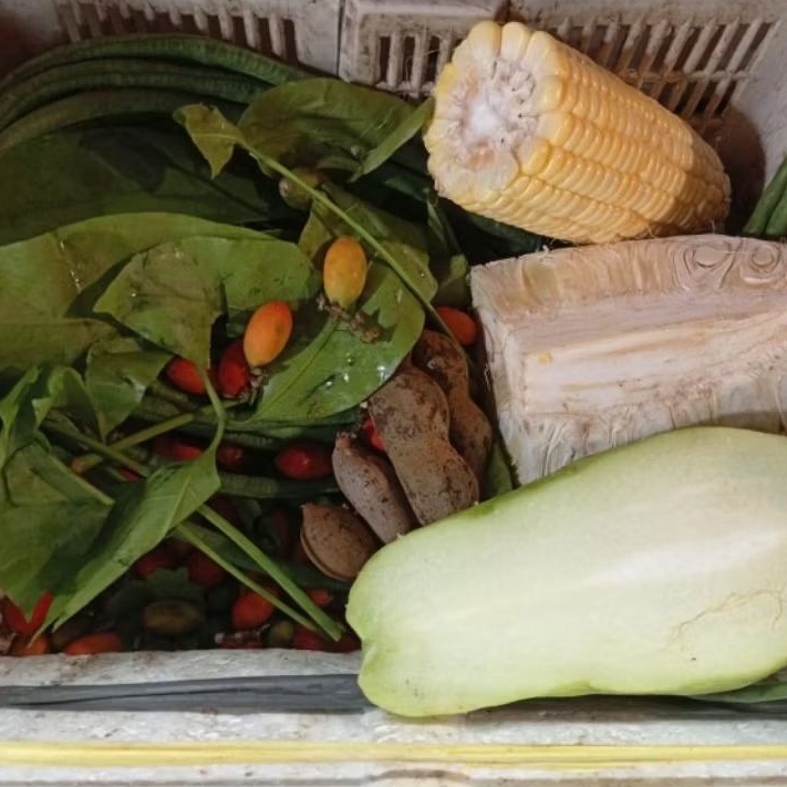 

Sayur Asem / Asam Paket