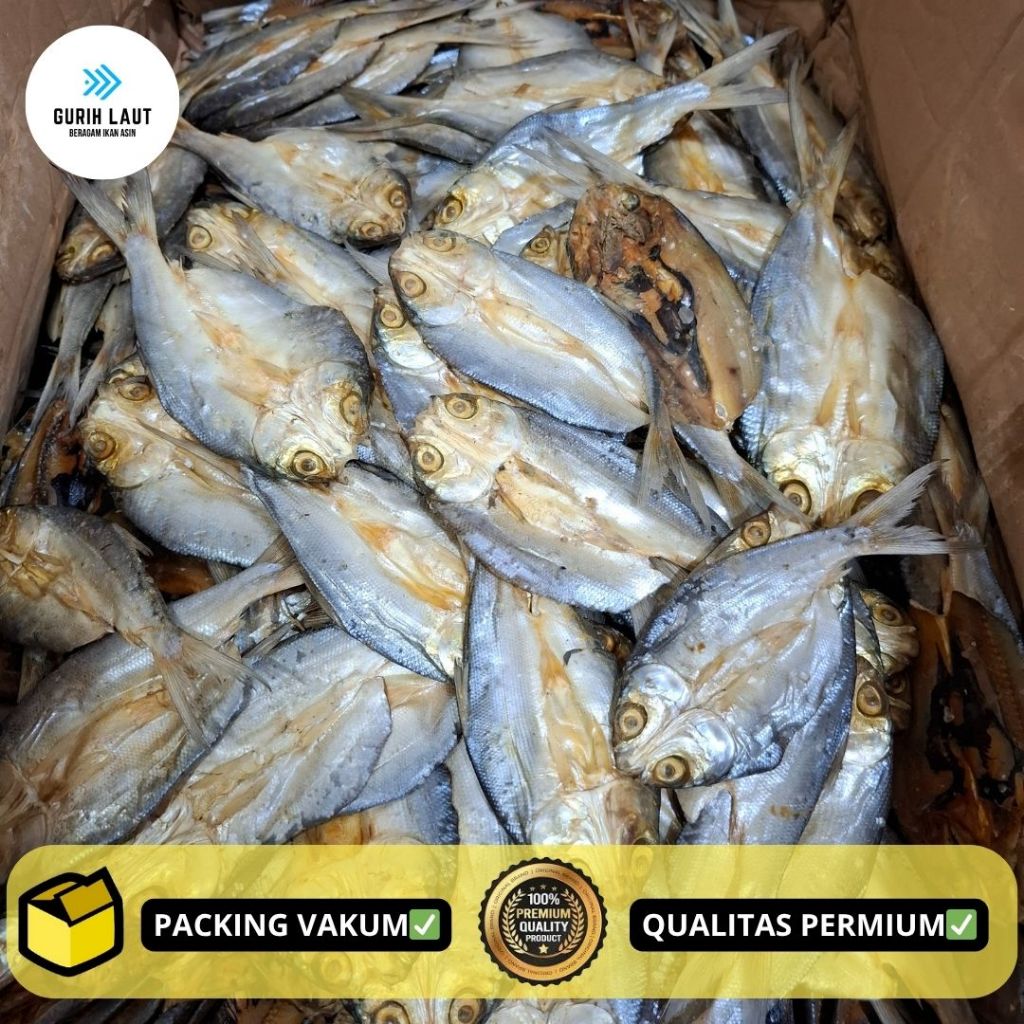 

IKAN BANDENG BELAH ASIN KUALITAS SUPER