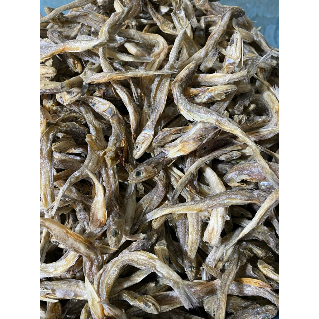 

ikan palu_palu