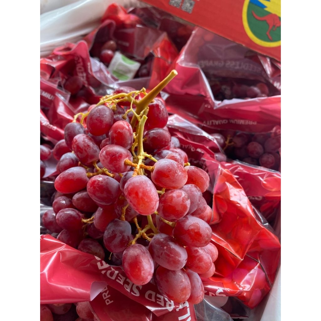 

anggur crimson