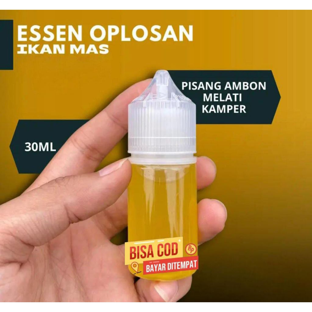 essen ikan oplosan pisang ambon melati kamper